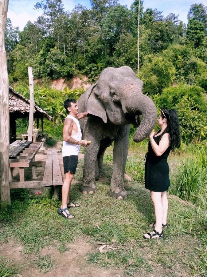 Funky Monkey Cnx - Guesthouse Chiang Mai Bagian luar foto